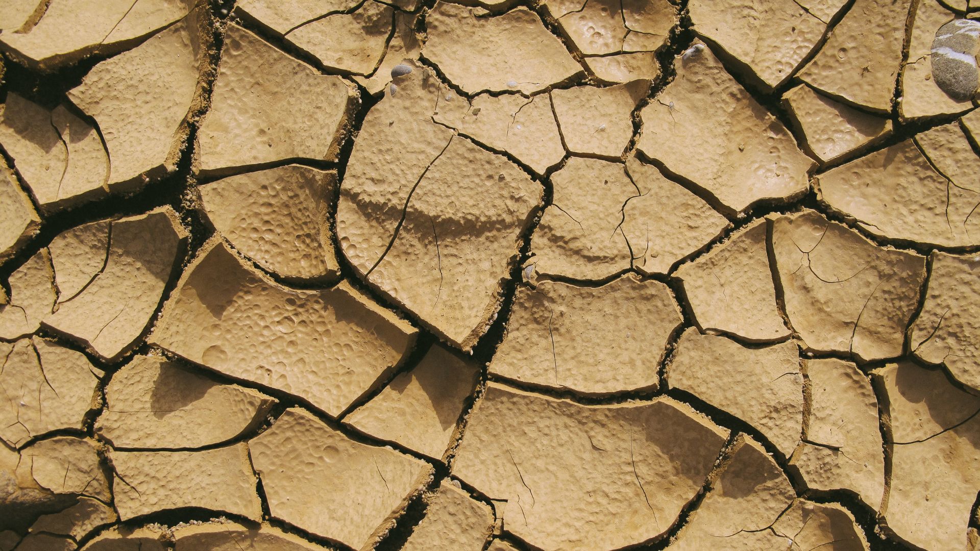dry soil common for australia